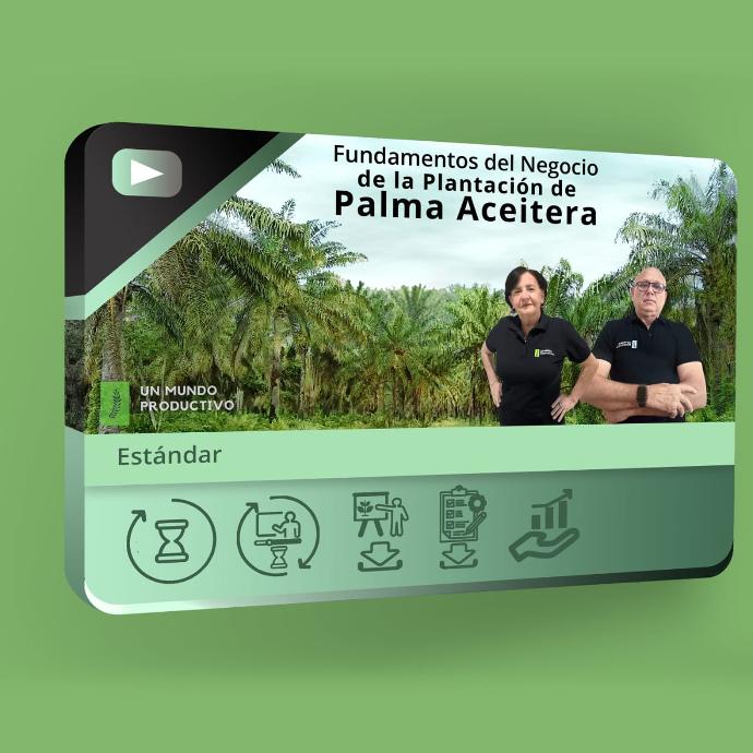Fundamentos del negocio de la plantación de palma (Estándar)
